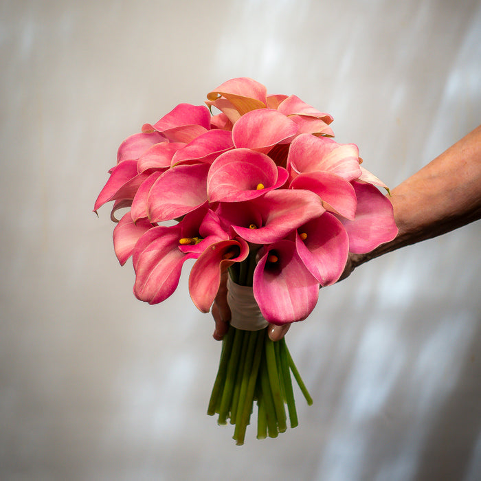 Frankie’s bridal bouquet of pink calla lilies