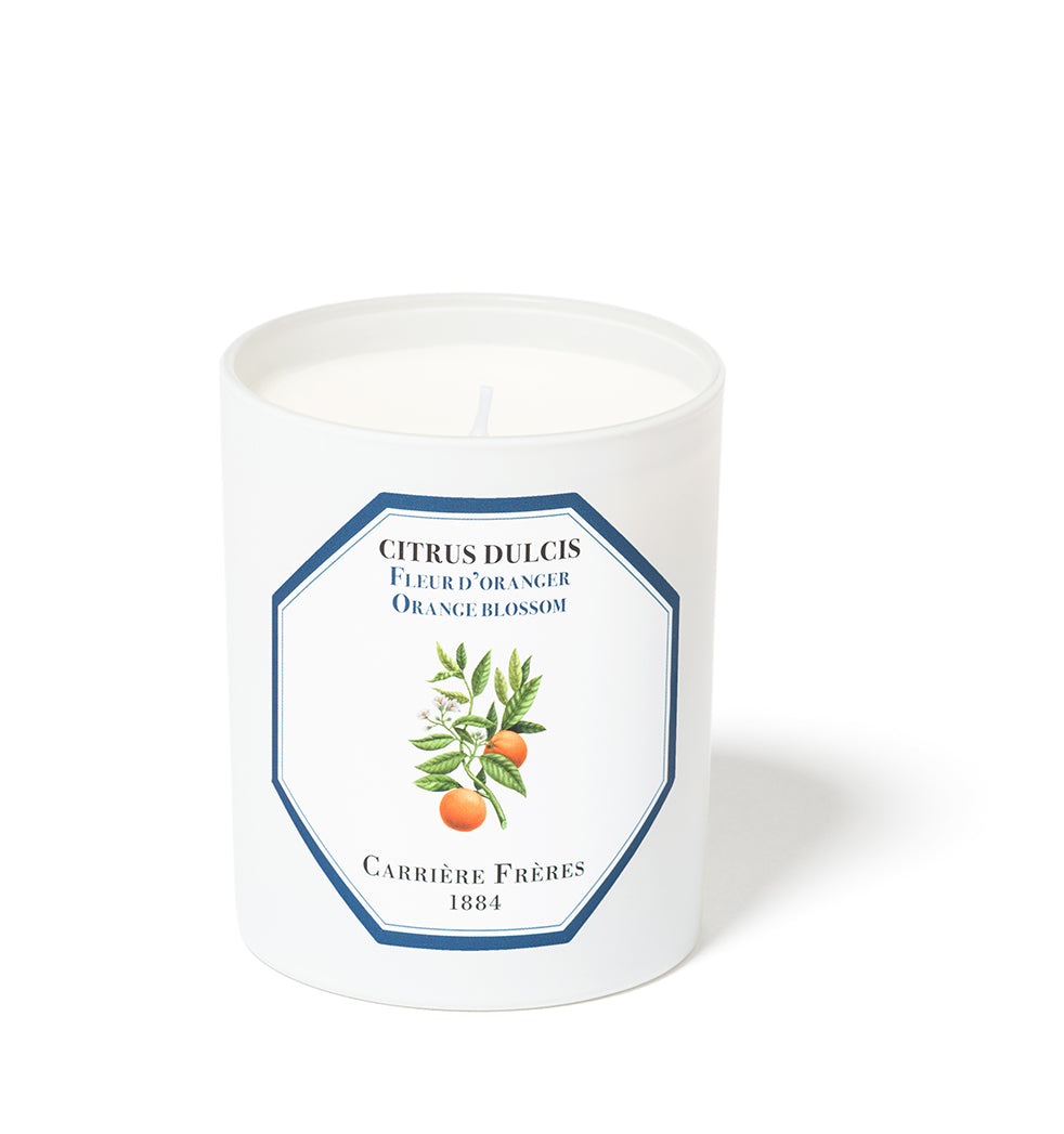 Carrière Frères Luxury Scented Candles Orange Blossom