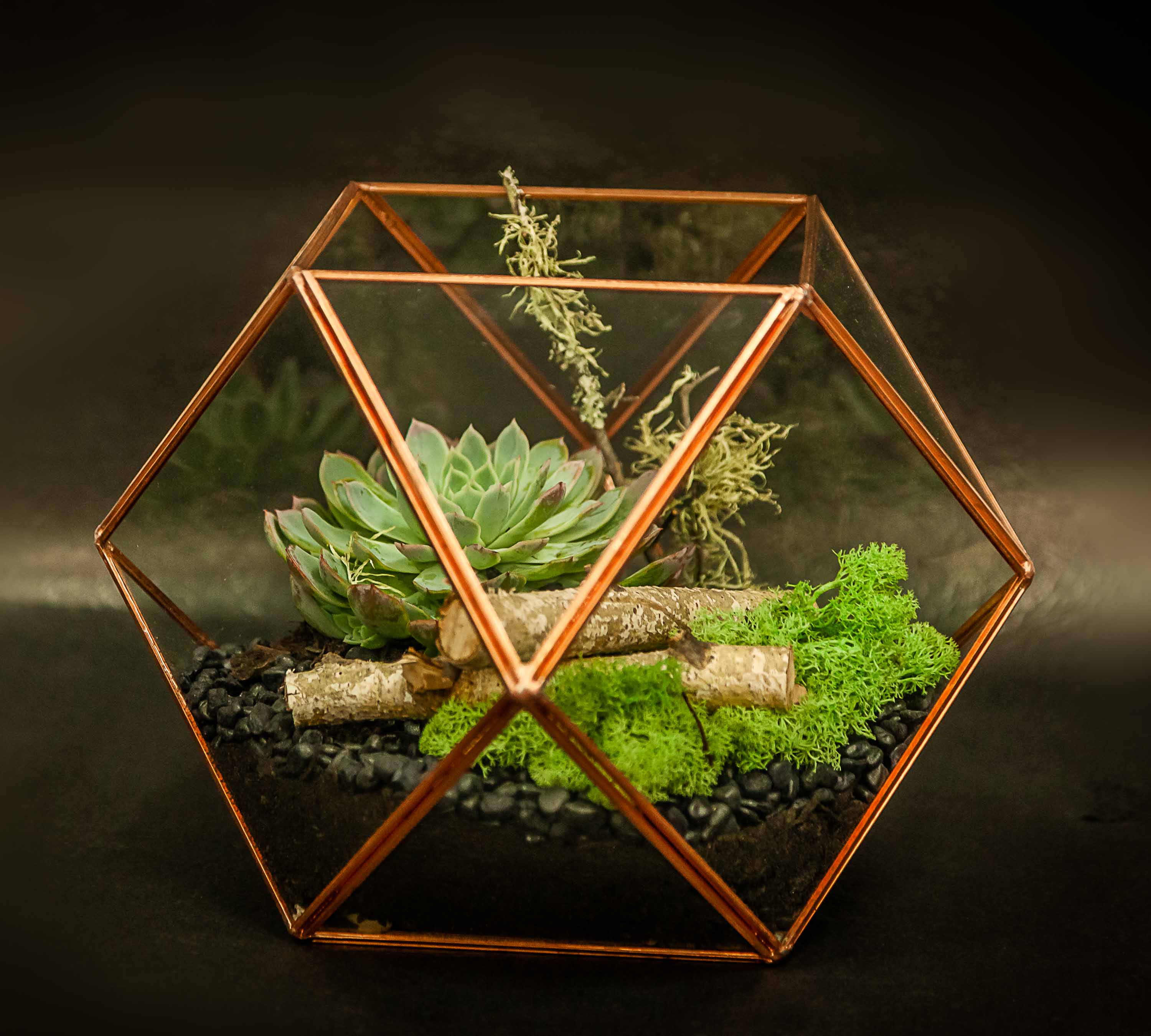 Indoor Terrarium