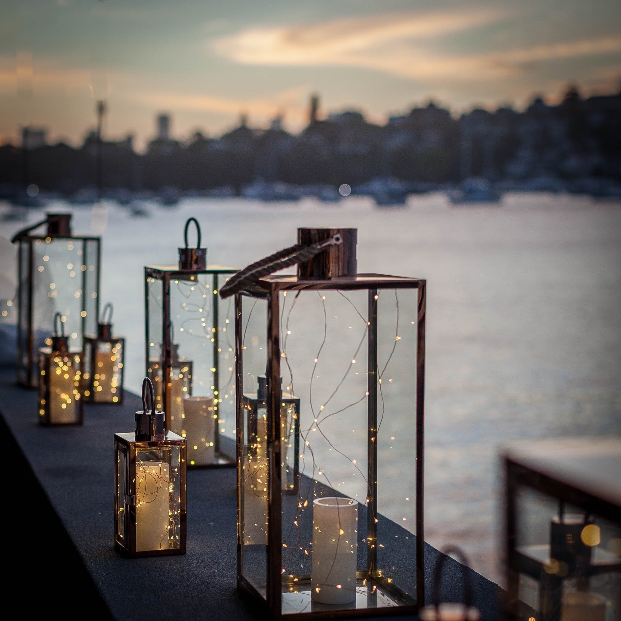 Catalina Rose Bay | Susan Avery