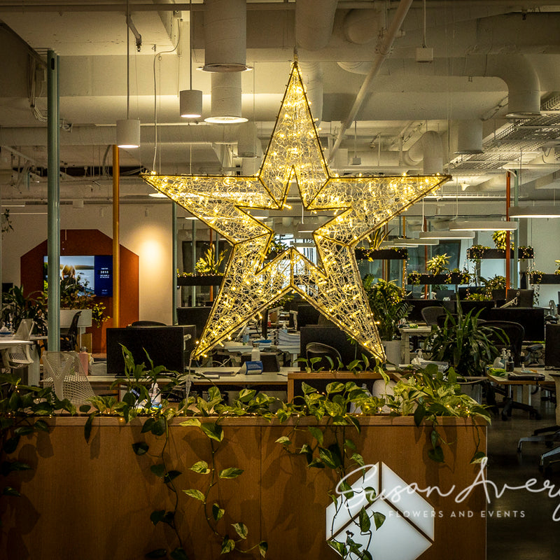 Large illuminated Christmas star among office greenery