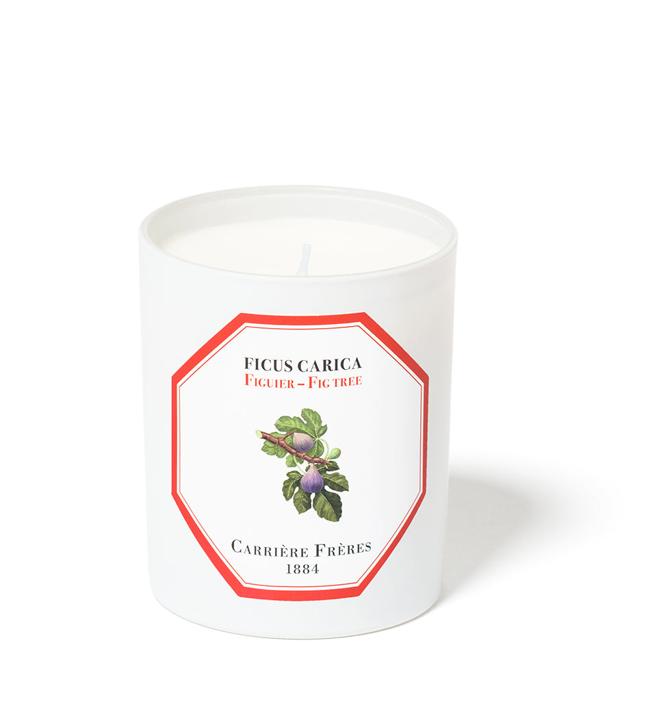 Carrière Frères Luxury Scented Candles Fig Tree