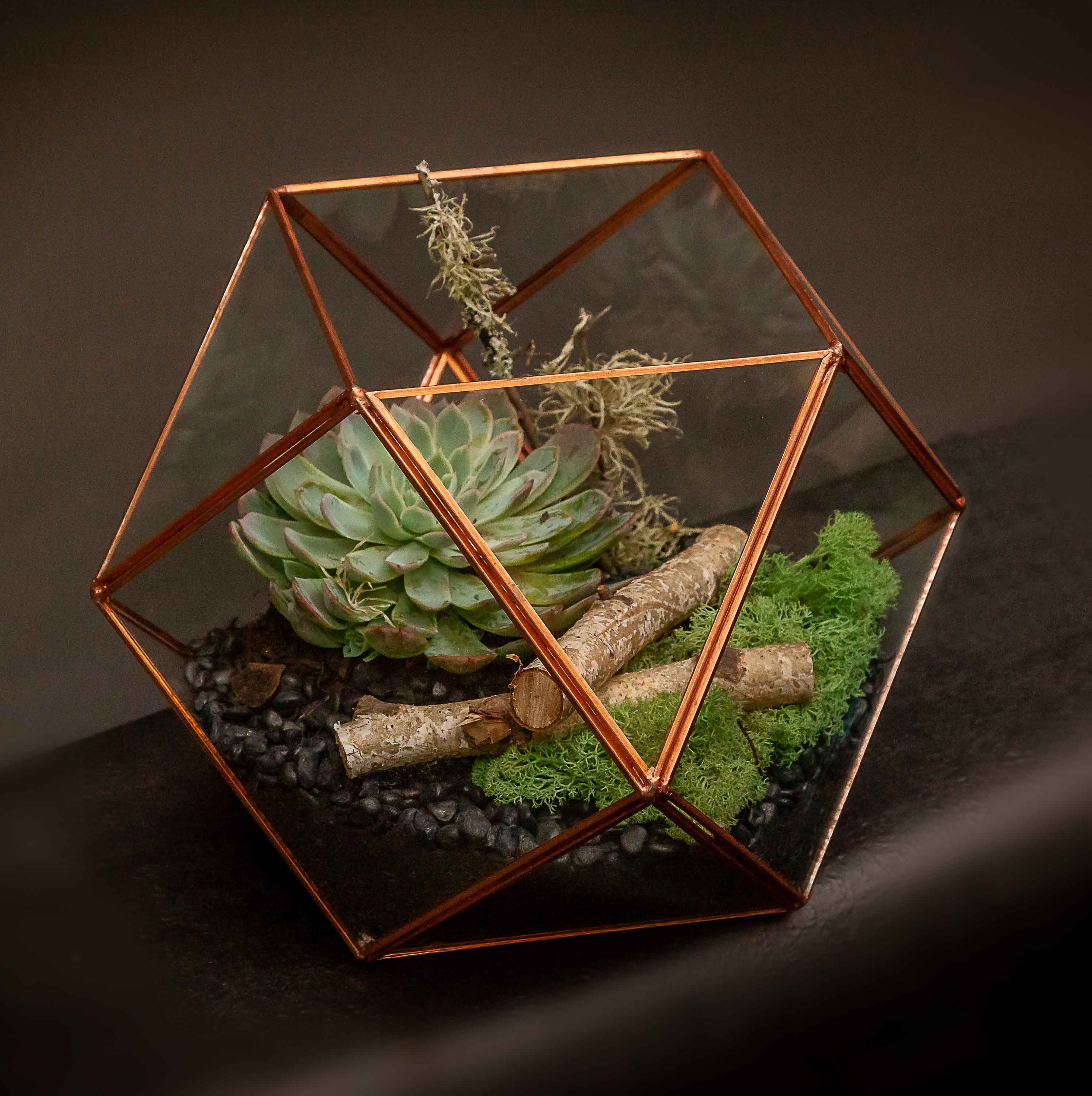 Indoor Terrarium