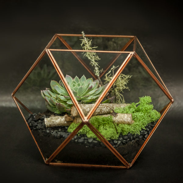 Hand made terrariums from Susan Avery