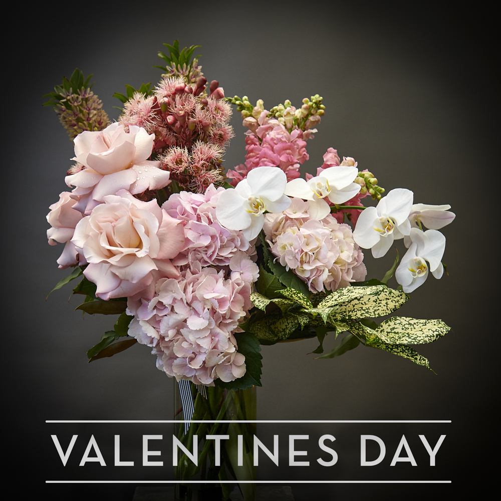 Susan Avery Valentine's Day Susan Avery Valentine's Day